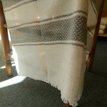 Pashmina Color Stole Burbary